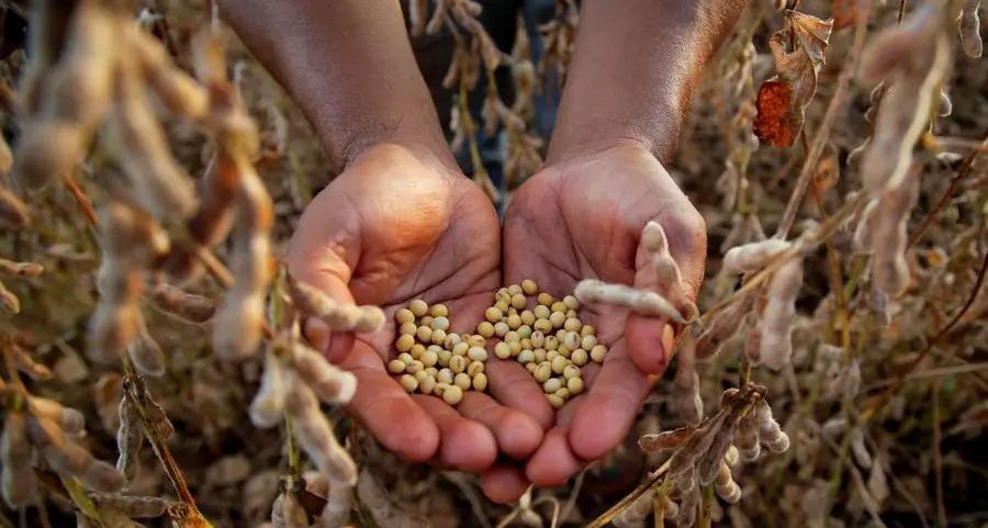 Chicago soy and corn fall, focus on Trump-Xi meeting