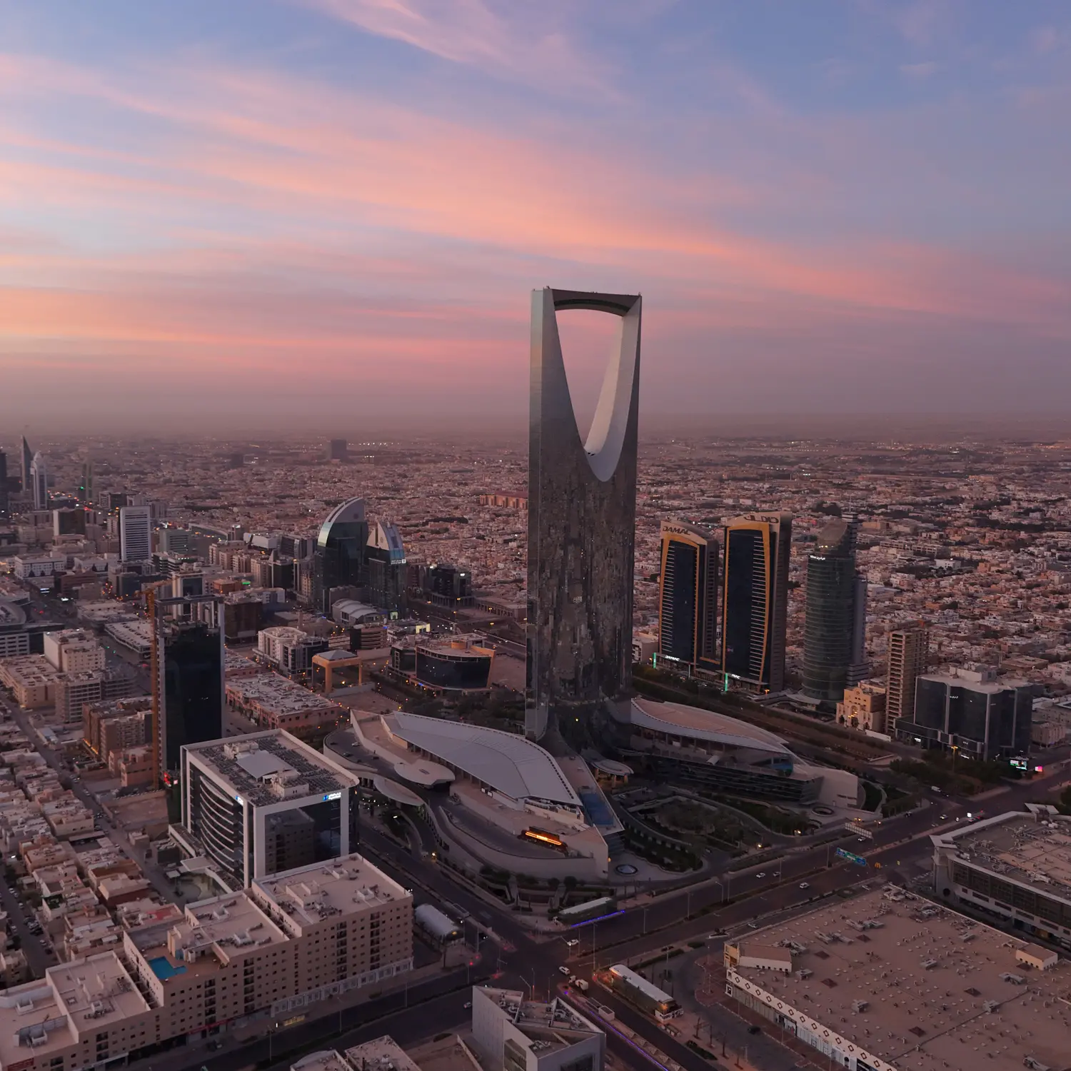 Olam Agri backed by Saudi PIF secures $1.85bln dual-tranche financing facility