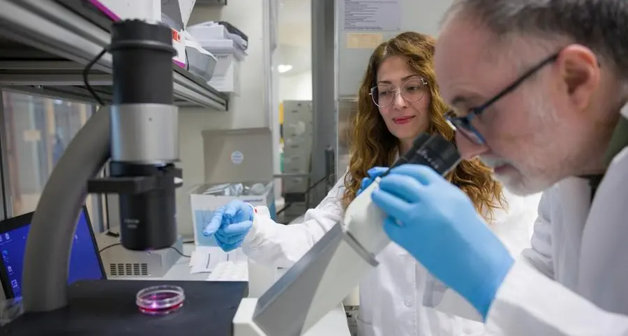 New NYU Abu Dhabi study reveals how DNA organization in cells drives obesity and metabolic health