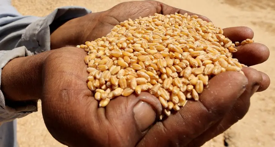 Chicago soybeans falls on lack of China buying; crop estimate report eyed