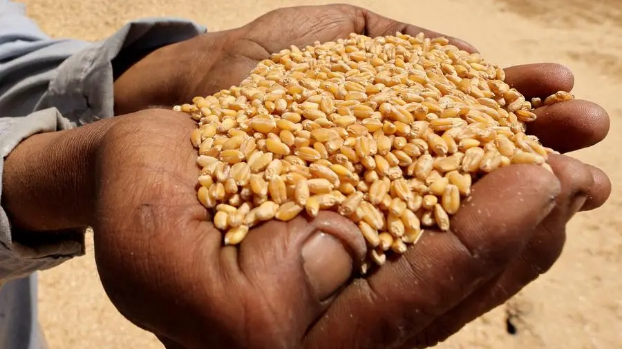 Soybeans slip further as doubts about Chinese buying puncture their rally