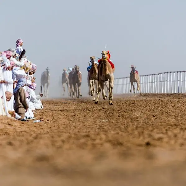 Barka hosts fourth race of Oman Camel Racing season