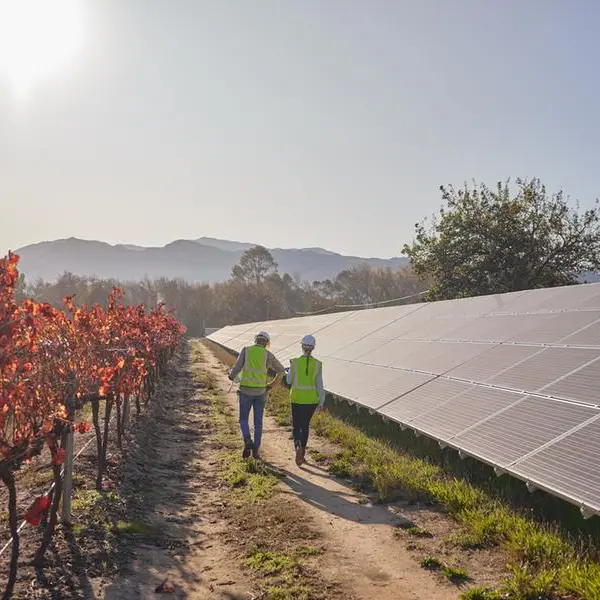 Anglo American-EDF joint venture lights up South Africa's electricity grid