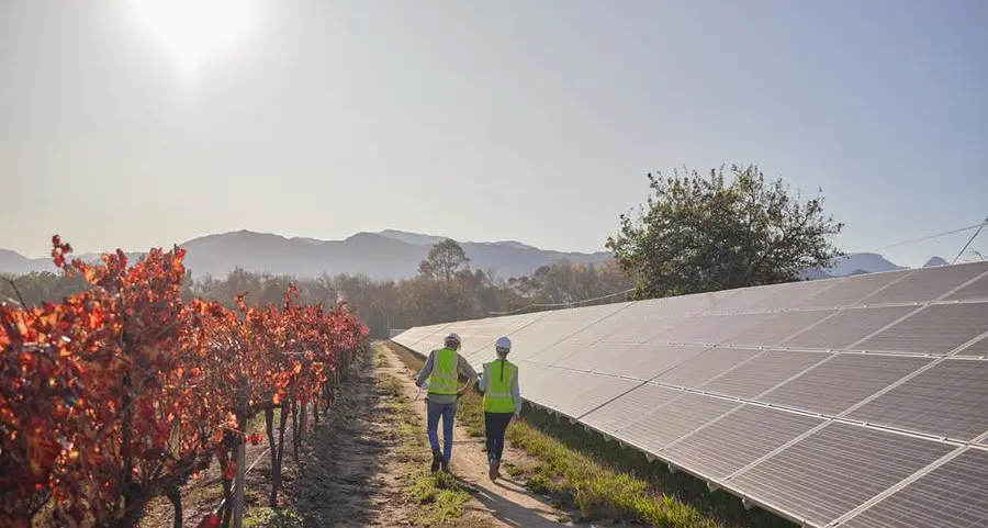 Oman: New initiative integrates solar energy into agricultural projects