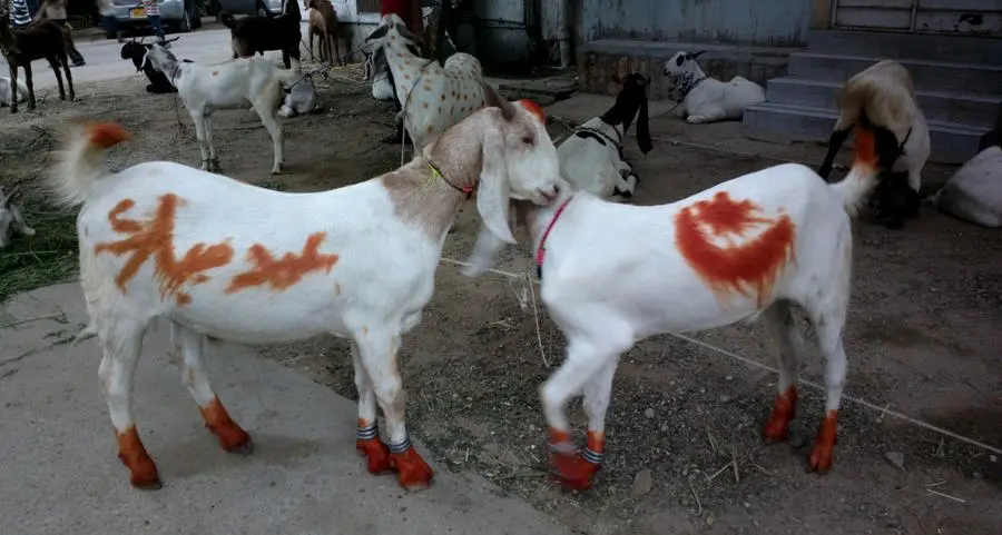 ADAFSA launches awareness campaign on safe slaughtering practices ahead of eid al-adha
