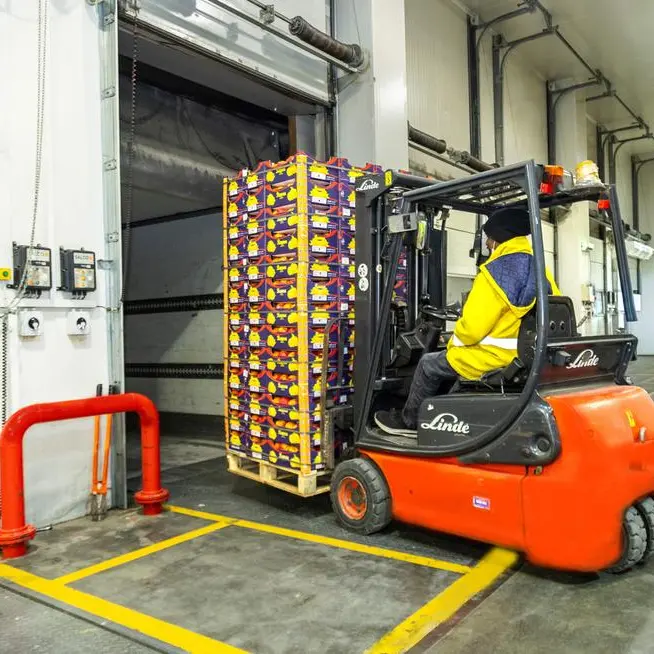NRTC expands global sourcing and logistics to secure fresh produce supply in the UAE