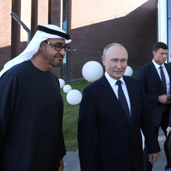 UAE president tells Putin: we are ready to help resolve Ukraine crisis