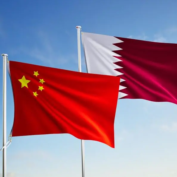 China and Qatar committed to global peace and security: Chinese envoy