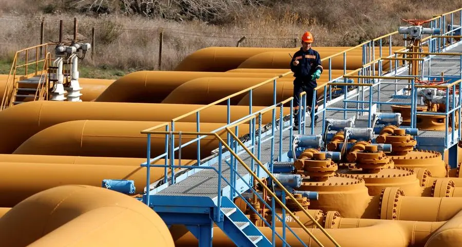 Turkey secures 15bln cubic metres of LNG for to diversify gas supply
