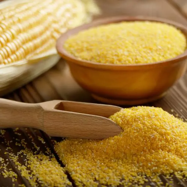 Chicago corn, soy futures rise ahead of USDA report