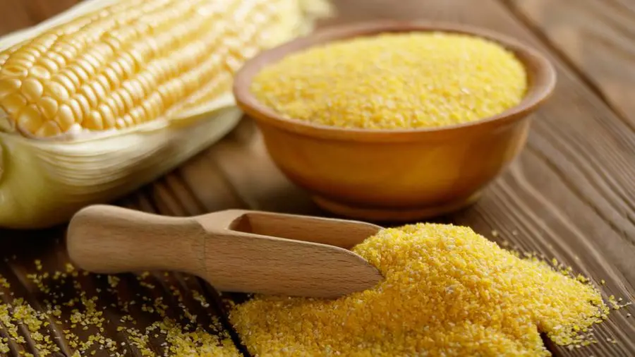 Chicago corn, soy futures rise ahead of USDA report