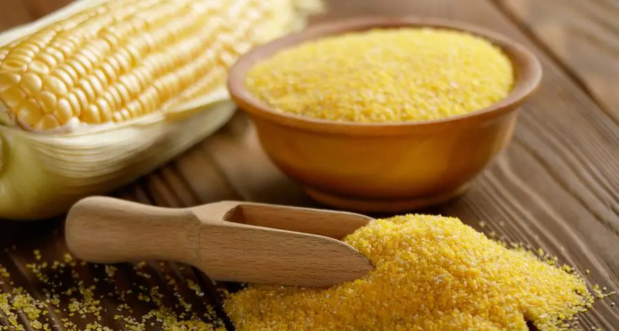 Chicago corn, soy futures rise ahead of USDA report