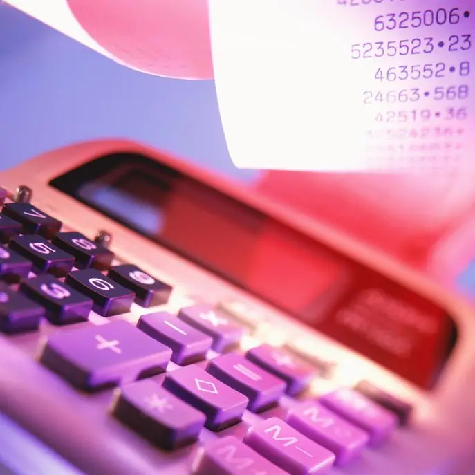 Tax revenues surge 30.8% in first eight months of FY 2025/26: Egypt's ministry