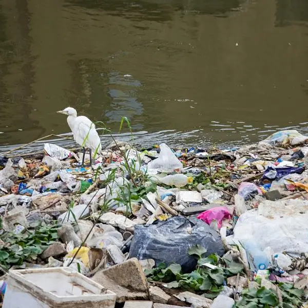 Egypt launches campaign to curb single-use plastic pollution amid global climate push