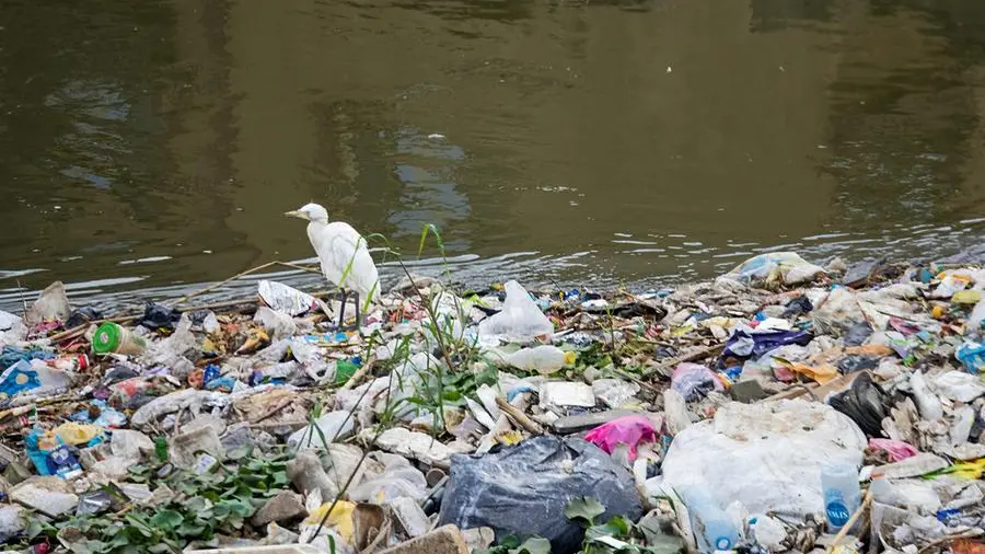 Egypt launches campaign to curb single-use plastic pollution amid global climate push