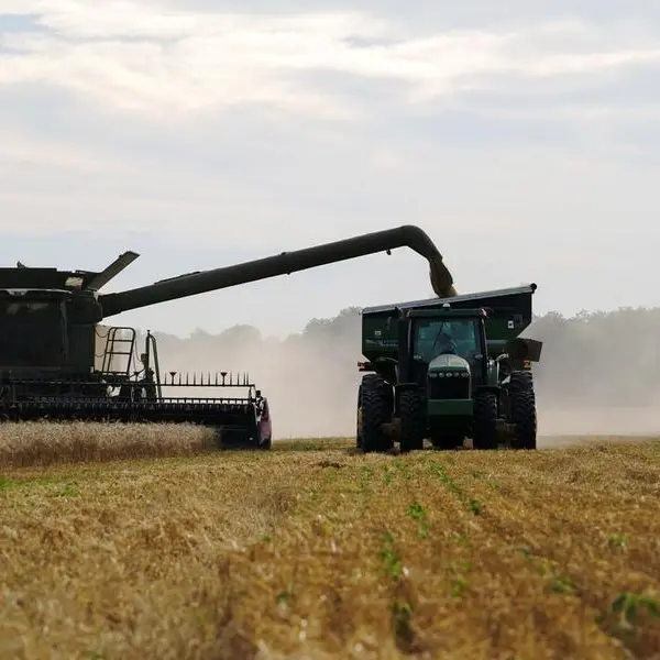 What to make of surprisingly low US crop ratings: Braun