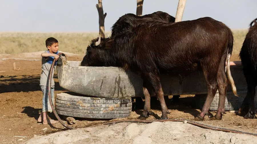 Iraq plans to develop projects to improve climate adaptation