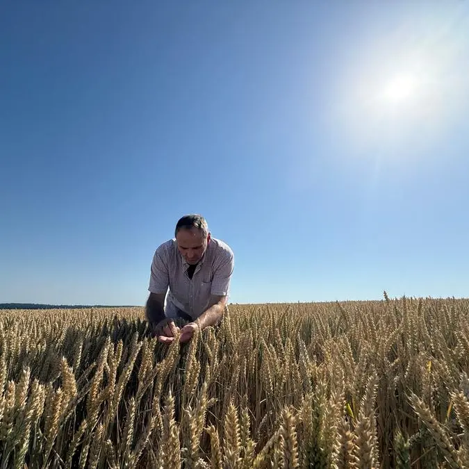 Chicago soybeans, grains fall as traders await USDA acreage and stocks reports