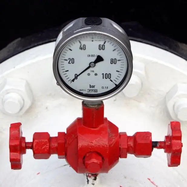 EU could quit Russian gas within a year, US energy chief says