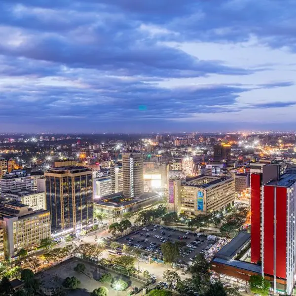 Troubling reality of why Kenya’s forest cover has remained static