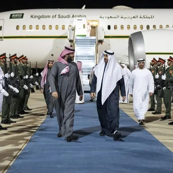 UAE President, Saudi Crown Prince meet to discuss close bilateral ties