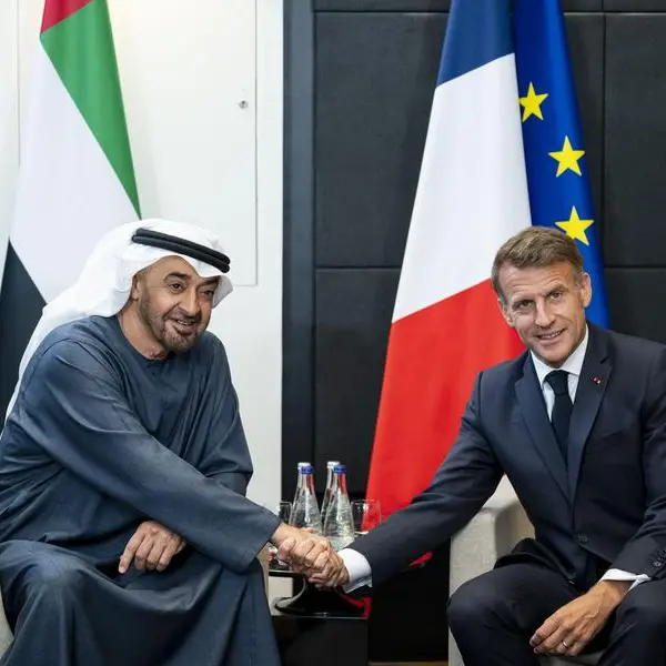 UAE and French Presidents discuss bilateral ties and regional developments