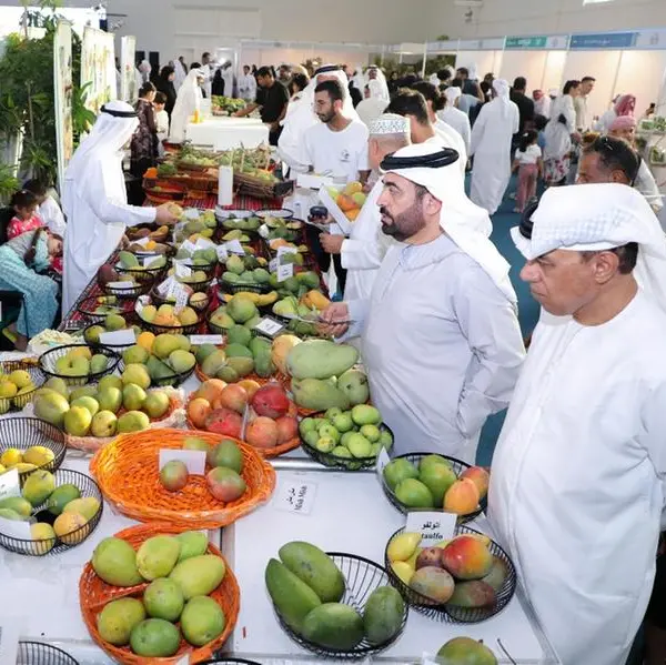 Sharjah Chamber finalizes preparations for 4th Mango Festival 2025