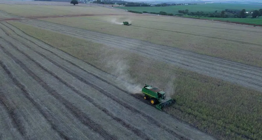 China's reliance on soybean imports continues despite cutback plans: Braun