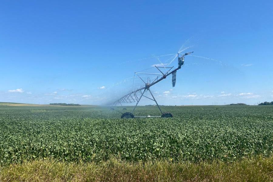 Chicago soybeans extend losses on China trade uncertainty; corn, wheat ease