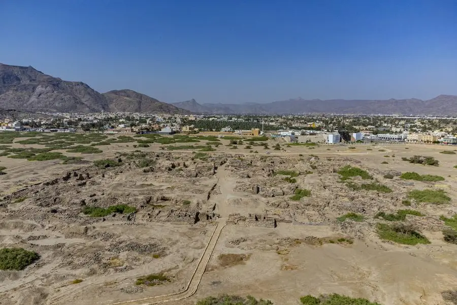 Getty Images/imageBROKER RF