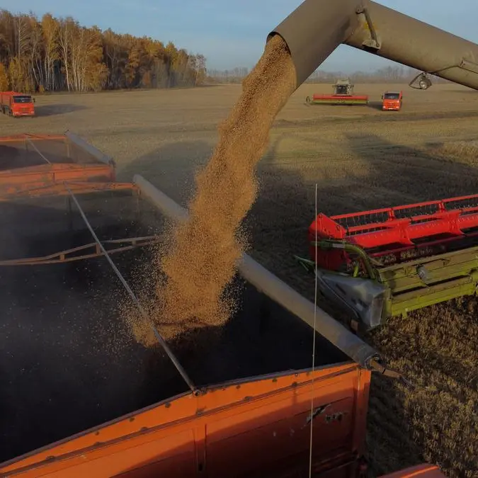 Wheat extends gains as US crop conditions worsen