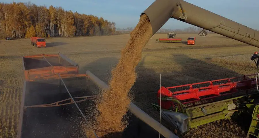 Wheat extends gains as US crop conditions worsen