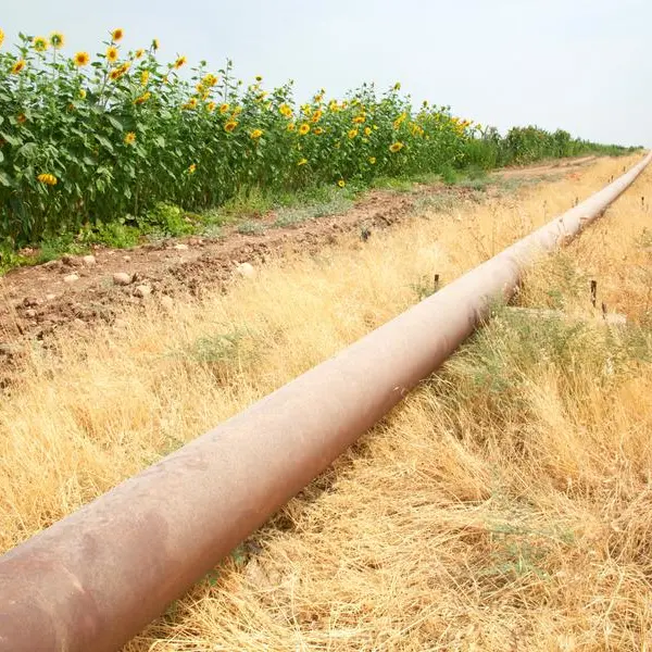 Baghdad sues Iraqi Kurds over US energy deals