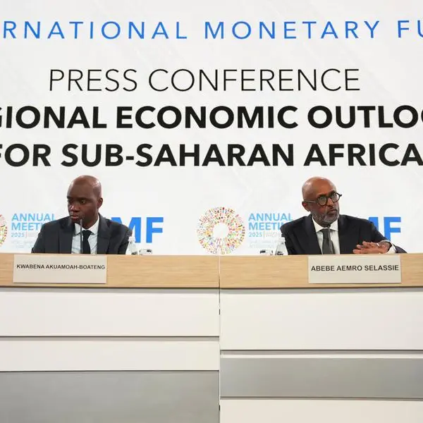 IMF highlights risks of domestic borrowing in sub-Saharan Africa