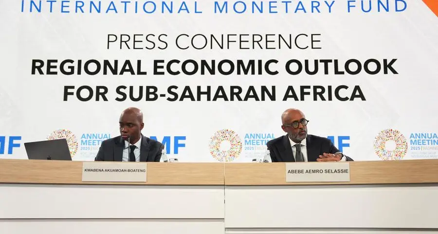IMF highlights risks of domestic borrowing in sub-Saharan Africa