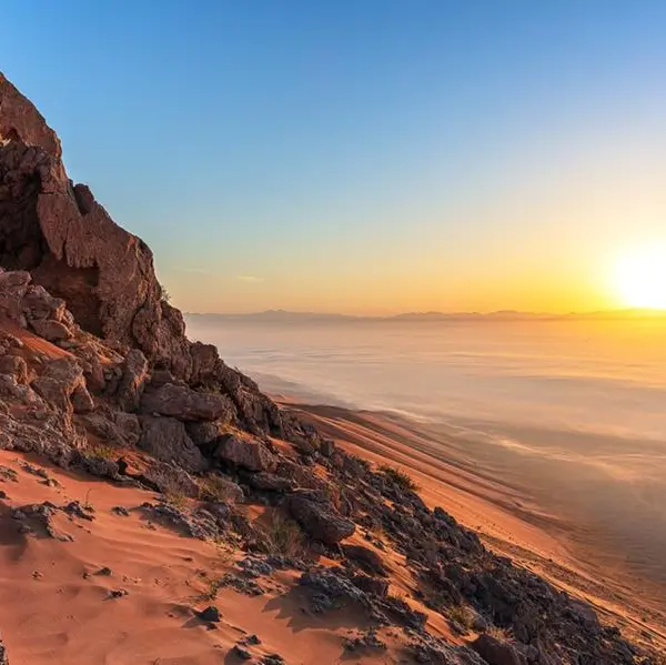 Sharjah invites international researchers to apply for first-cycle Short-Term Research Grants