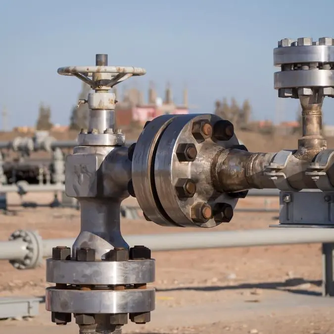 Egypt unveils new oil, gas discoveries in Western Desert