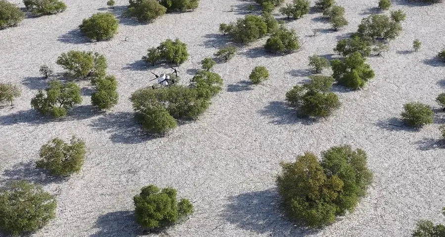 Nabat, new Abu Dhabi climate tech venture, to use AI and robotics to restore mangroves and boost climate resilience