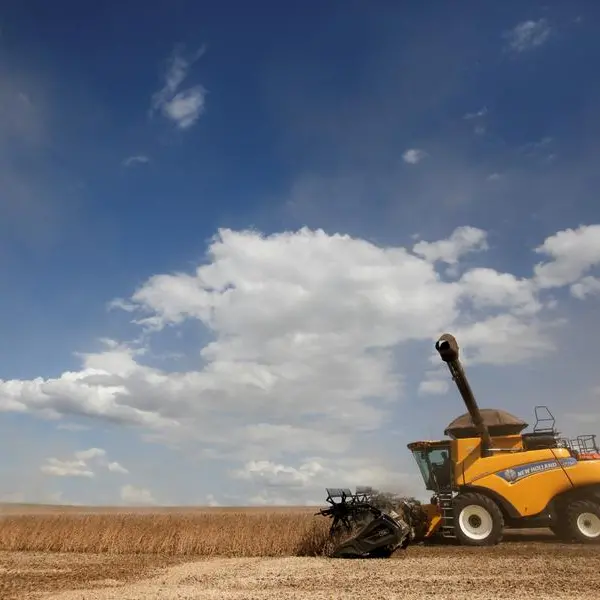 Soybeans ease on profit taking, wheat inches higher