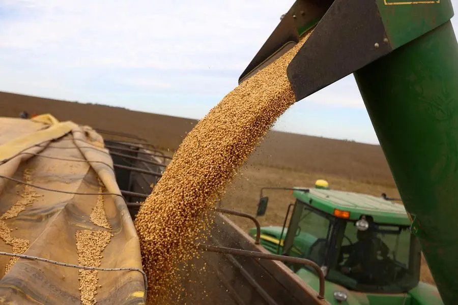 FILE PHOTO: Soybeans are loaded on a truck after being harvested, in Pergamino, on the outskirts of Buenos Aires, Argentina, May 15, 2024. REUTERS/Matias Baglietto. , Reuters