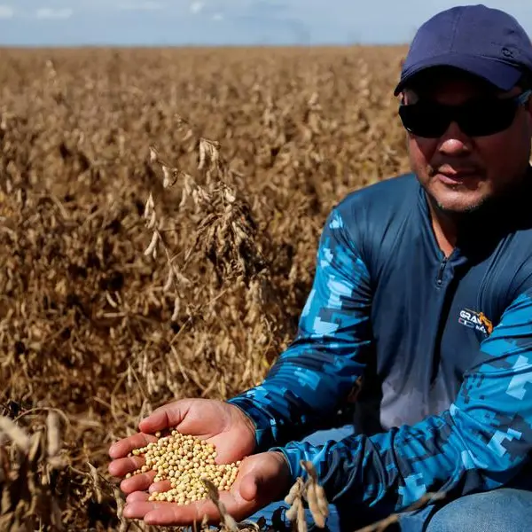 Soybeans at new three-month high on China demand hopes