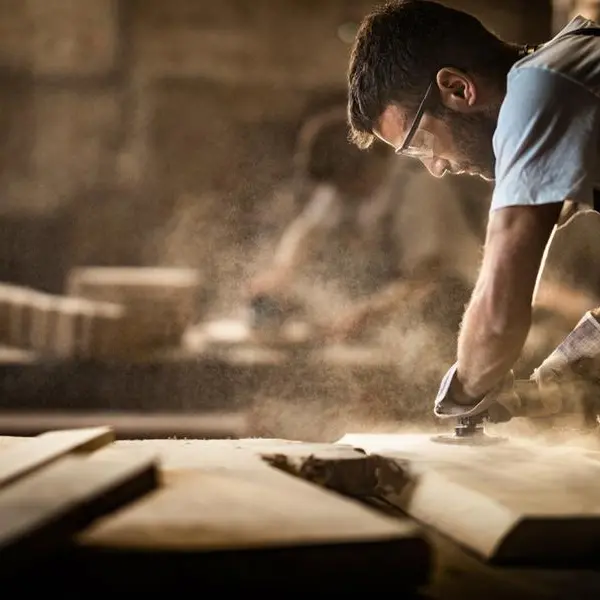 Egypt: MSMEDA allocates $5.31mln to support furniture projects in Damietta