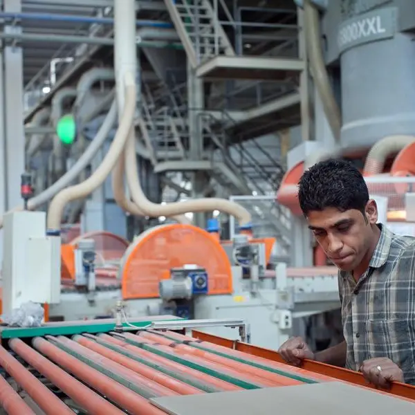 Egypt targets 8mln industrial workers by 2030: Al-Wazir