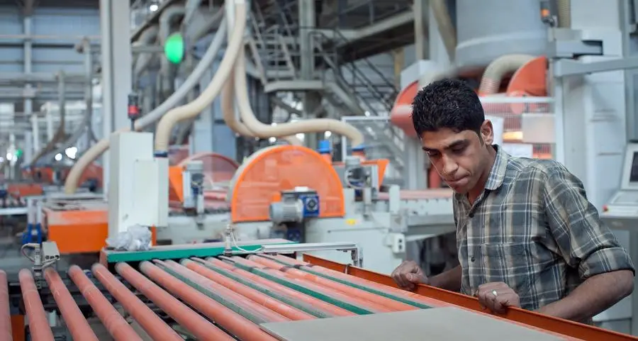 Egypt targets 8mln industrial workers by 2030: Al-Wazir