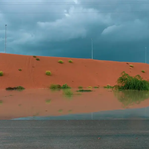 Monsoon-loving Indian expats chase rain in UAE desert