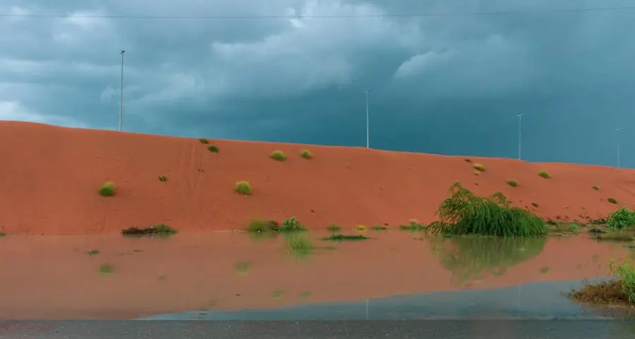 Monsoon-loving Indian expats chase rain in UAE desert