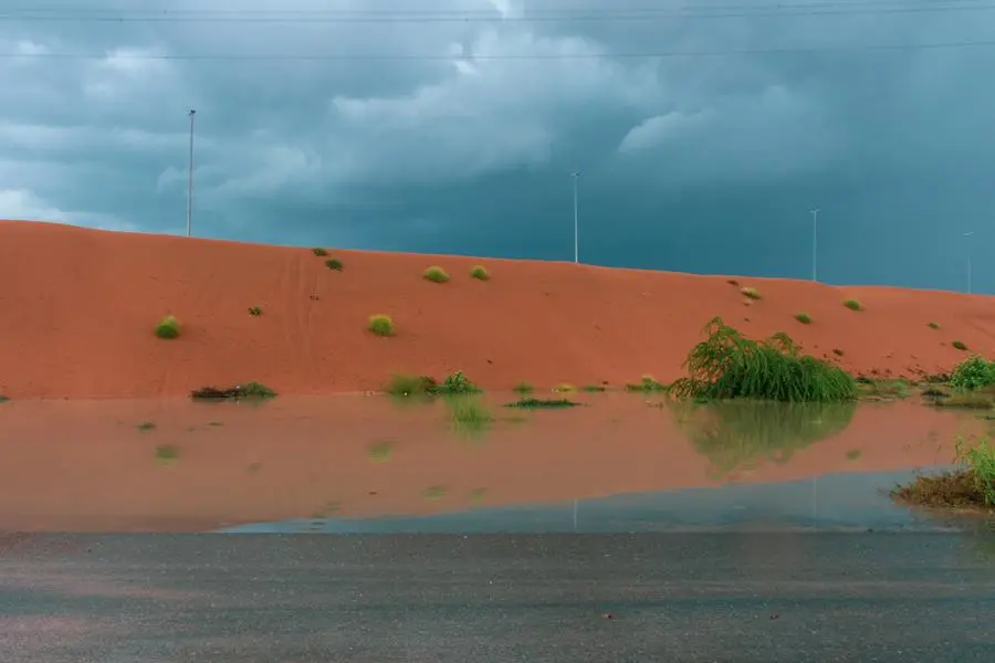 Desert storm clouds contrasted with bold burnt orange colored sand and flooded waters on the sand highlighted green flora and fauna after a storm on the sand dunes. Image used for illustrative purpose. Image courtesy: Getty Images/ Jiff kingma
