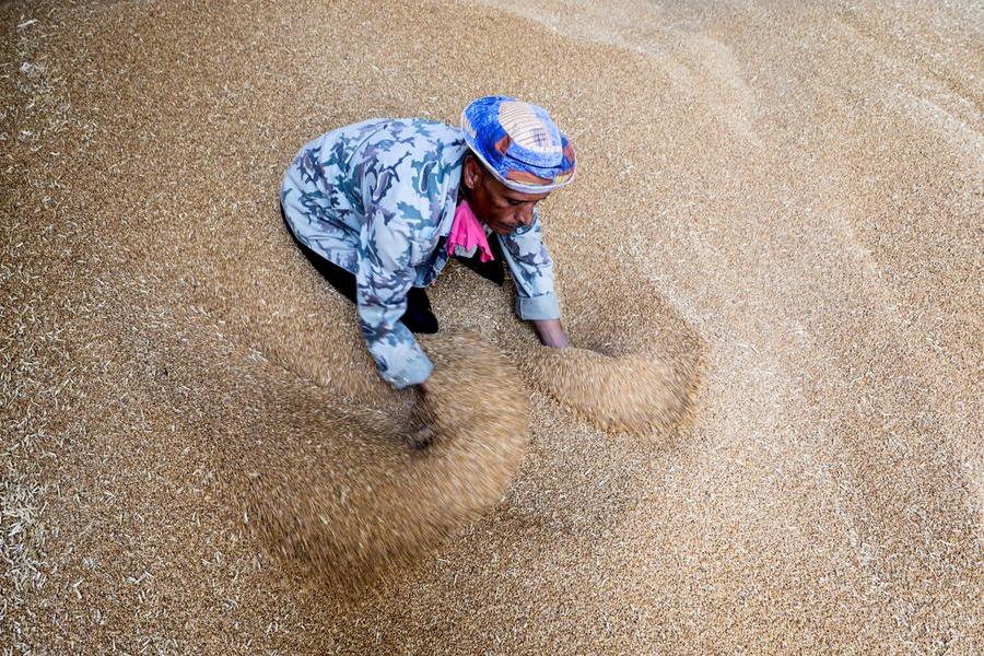 Chicago soybean futures rise after US-China talks