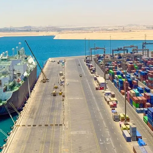 Egypt, DP World mull expanding logistics centers to foster trade in Africa