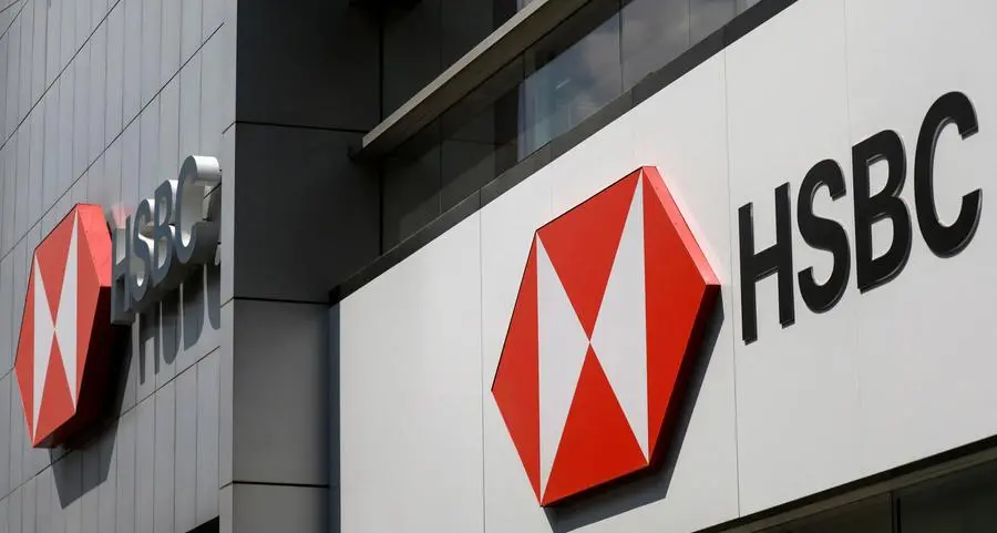 HSBC logs decline in annual profit on impairments, raises key target